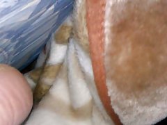 Loucamente sexy novilha! porno mult divertidos